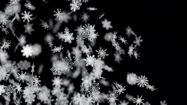 Beautiful Falling Snowflakes Creating A Magical Winter Wonderland