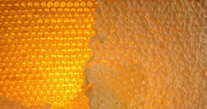 Wooden beehive frame with honeycombs close-up video. Combs full of honey, some with wax caps cut off.