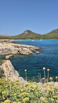 Cala Agulla bay in Mallorca during summer, featuring crystal-clear turquoise water, colorful Mediterranean scenery, sandy beach and rugged coastline under bright sunny skies