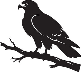 Fototapeta premium Hawk perched on a tree branch in black silhouette