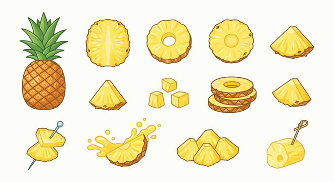 Pineapple slices and whole fruit colorful vector illustration