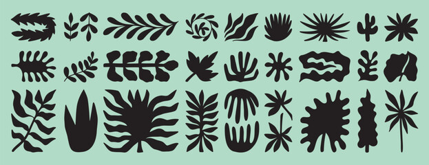 Obraz premium tropic shapes organic plant leaves form set. Exotic plants different modern nature floral shapes. Summer botanical boho silhouette. 