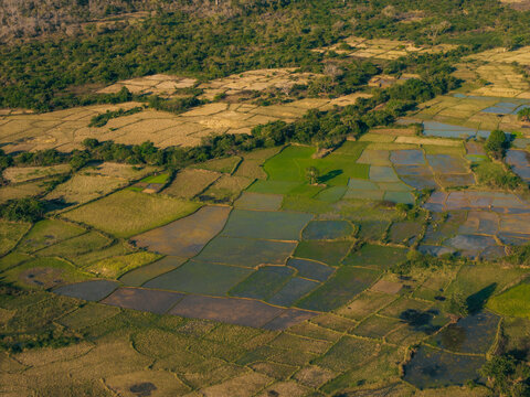 Aerial view of agricultural rice paddies and fields with varied textures and colors, surrounded by lush green trees and vegetation in Morondava, Menabe, Madagascar.