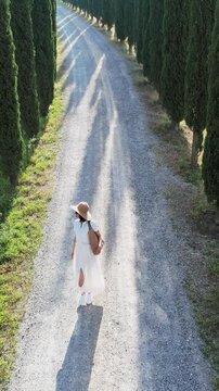 Aerial scene of female attractive person with hat walking along a picturesque cypress tree-lined path in Tuscany, Italy, vertical video