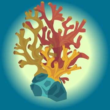 coral tropic fauna sea stiker