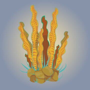 seaweed stiker exotic fauna sea 