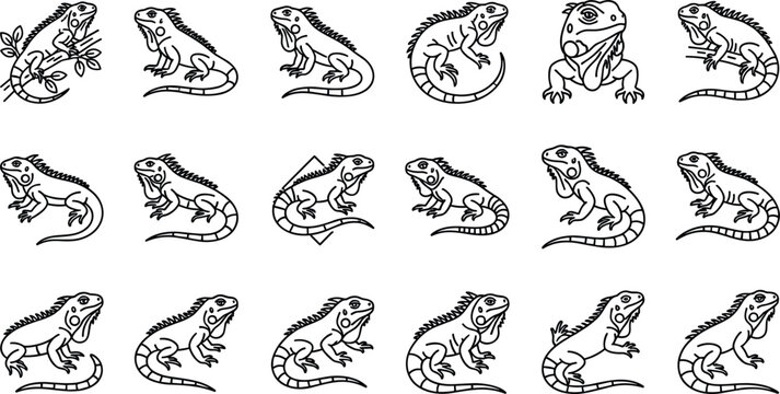 Iguana lizard reptile line art icon set tropical animal wild nature silhouette outline vector illustration minimalist graphic creative design elements