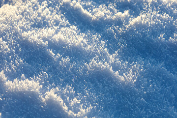 Macro shot of a crystalline fresh snow surface covered with frost and fine ice crystals. Bright winter sunlight creates a striking contrast between sparkling highlights and soft blue shadows. © Олег Струс