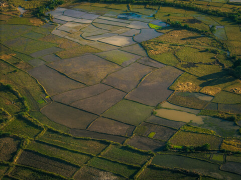 Aerial view of agricultural rice paddies and irrigation fields with varying textures and water levels in the rural landscape of Morondava, Menabe, Madagascar.