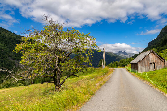 A beautiful gravel road in a village valley. A seasonal scenery of Eidsdal village in World Heritage area of Western Norway.