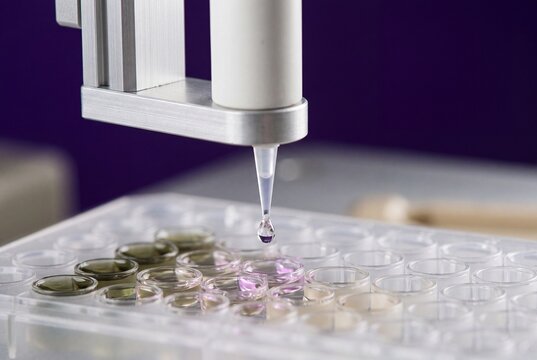 Automated robotic pipette dispensing liquid droplet into multiwell microplate in scientific laboratory