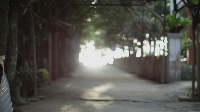 Okinawa,Residential Area,Single Road,Street Trees,Reflected Light,Gate Wall,Dense,Halation