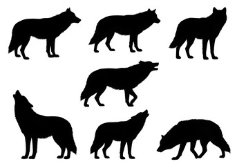 Fototapeta premium Set of black wolf silhouettes in various standing and walking poses isolated on a plain background