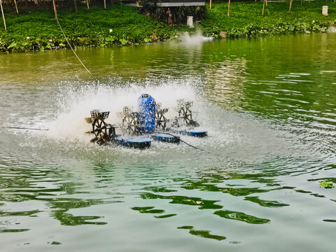 Paddle Wheel Aerator Creating Splashes And Noise In Fish Farming Pond