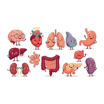 Human internal organs collection with cute cartoon characters