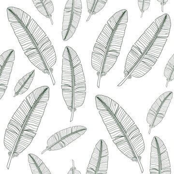 Banana leaf line art seamless pattern background tropical green botanical leaves vector
