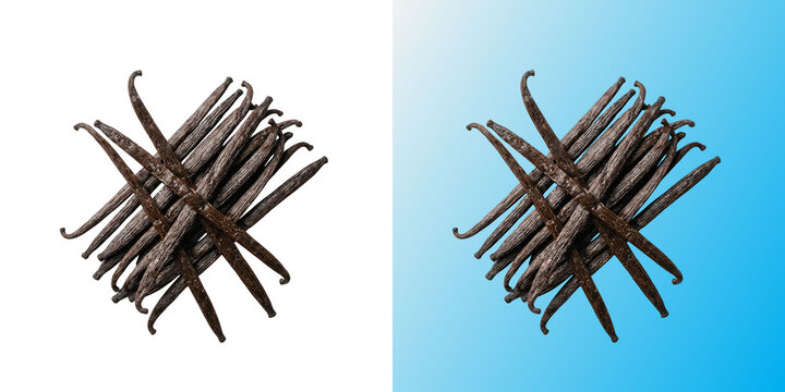 Organic vanilla beans bundle isolated on white and blue background