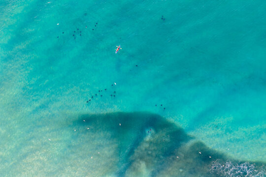 Aerial view of a kayak paddling near a large school of rays in the clear turquoise waters of Cape Byron Bay, Byron Bay, New South Wales, Australia.