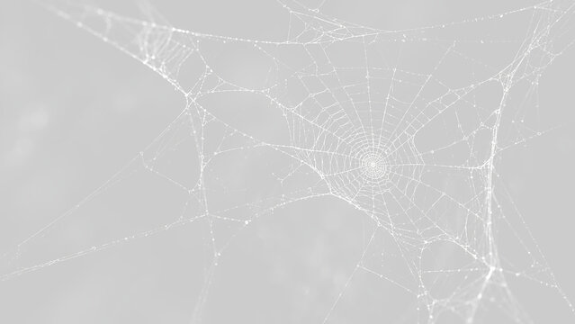 Ragnatela complessa con fili sottili su sfondo trasparente. Dettagliata tela di ragno per Halloween e grafica isolata in formato PNG