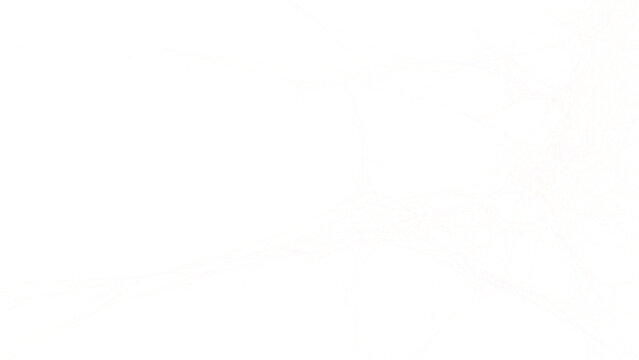 Sottile texture di ragnatela fitta e polverosa per overlay su sfondo trasparente PNG