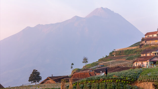 Aerial view of Selo village on the slopes of Mount Merapi, with terraced fields, houses, and a farmer tending to crops under soft morning light. Selo, Central Java, Indonesia.