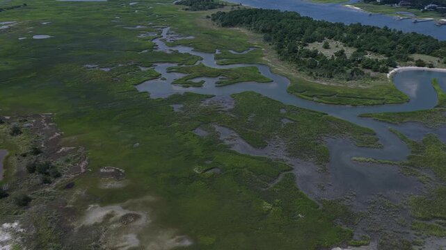 Natural tidal marsh on barrier island Wrightsville Beach, NC 
