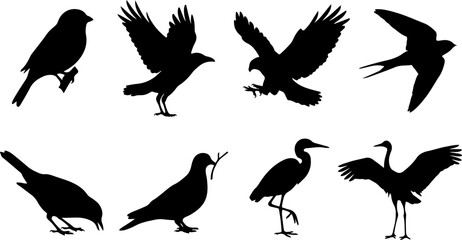 Obraz premium Set of bird silhouettes in various poses vector illustration