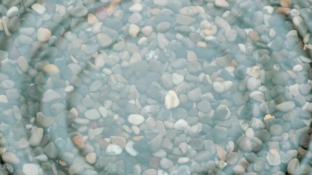 Drop Hits the Water Surface. Drops of water drip onto the surface of a small pond with clear water and a finely rocky bottom