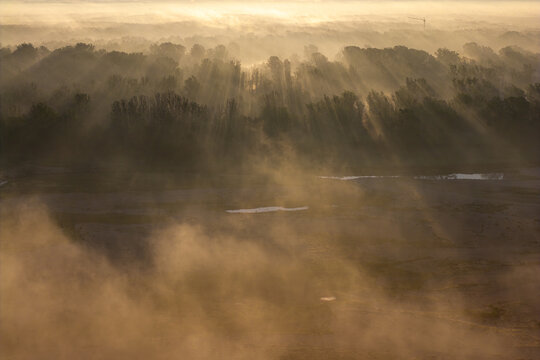 Aerial view of sun rays piercing through morning mist over a dense forest and riverbed in Poland.
