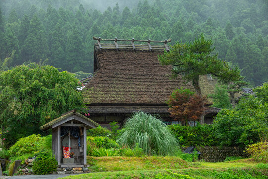 Small wooden roadside shrine holding a kimono-clad offering in front of a steep thatched farmhouse roof and pine tree, Kyoto prefecture, Miyama, Japan