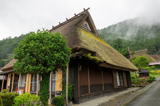 Moss-covered thatched gable with wooden ridge timbers beside a green shrub and a second house along a misty village road, Kyoto prefecture, Miyama, Japan