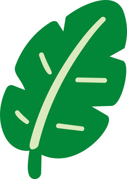Cute green tropical banana leaf clip art vector illustration isolated on transparent background.
