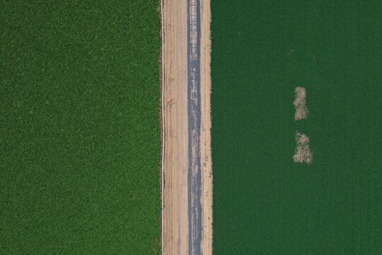 Aerial view of a dirt road separating two lush green agricultural fields in Johnstown, Colorado, United States.