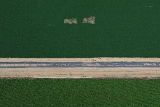 Aerial view of a dirt road separating lush green agricultural fields in the rural landscape of Johnstown, Colorado, United States.