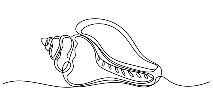 One line sea shell drawing featuring intricate spiral detail in minimalist black stroke for coastal home decor and nautical branding elements.