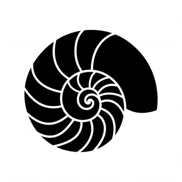 Nautilus shell spiral silhouette icon on white