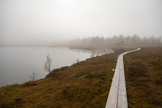 Ponton marais scandinavie norv&egrave;ge brouillard automne