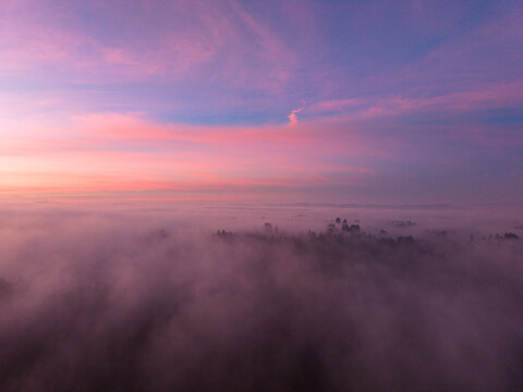 Aerial view of dense coastal fog blanketing a forest canopy under a vibrant pink and purple sunset sky in Occidental, California, United States.
