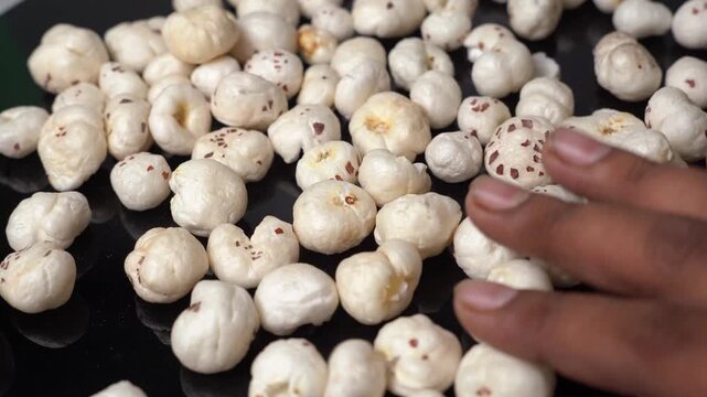 Close-up of a hand touch white fox nut or makhana Euryale ferox, organic puffed lotus seed snack for health and wellness