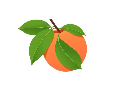 Peach fruit with green leaf and stem in flat vector style, orange, design