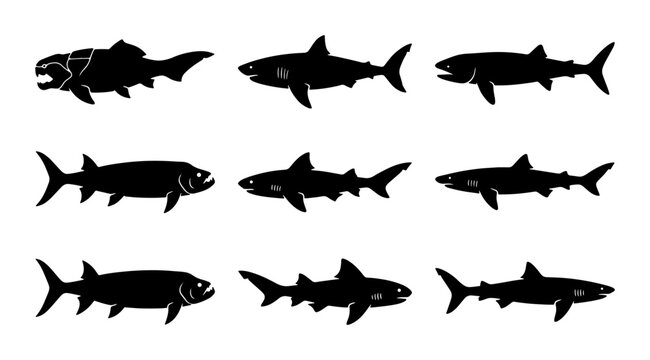 Shark and Ancient Fish Silhouettes, Marine Life Vector Icons, Ocean Predators Collection
