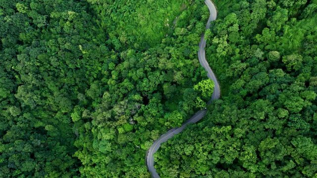 Aerial view of a winding forest road surrounded by dense tropical trees, representing ESG leadership, Sustainability Report, Annual Report, Green Finance, Net Zero Strategy, Carbon Credit initiatives,