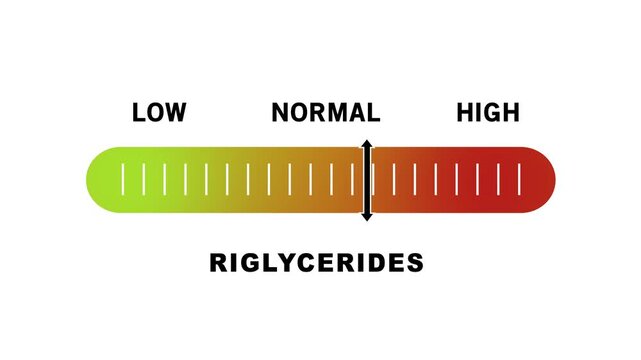 Animated triglycerides level indicator gauge showing fluctuating health metrics from low to risk ranges for medical diagnostic reports, clinical research presentations, and cardiovascular wellness