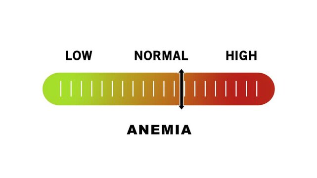 Dynamic medical infographic animation featuring a sliding scale gauge measuring anemia severity levels from low to for clinical health education, diagnostic analysis, and patient awareness