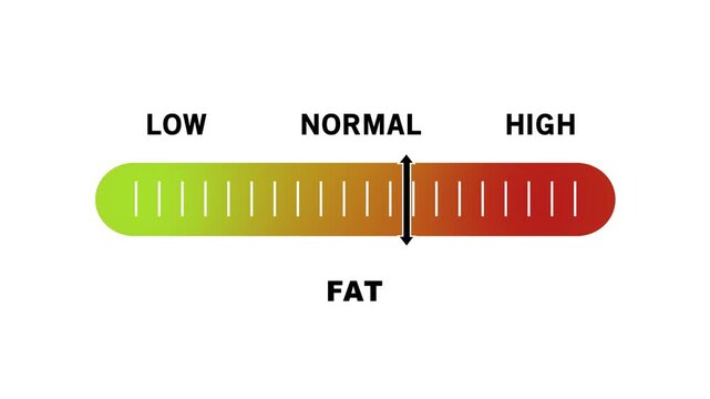 Dynamic fat level indicator gauge animation featuring a sliding scale from low to normal and risk levels for health, nutrition, medical, and fitness educational presentations and digital infographics