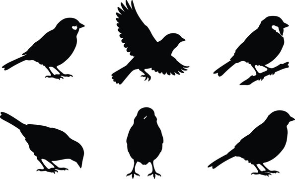 Sparrow Bird and Finch Silhouette Vector Icon Set