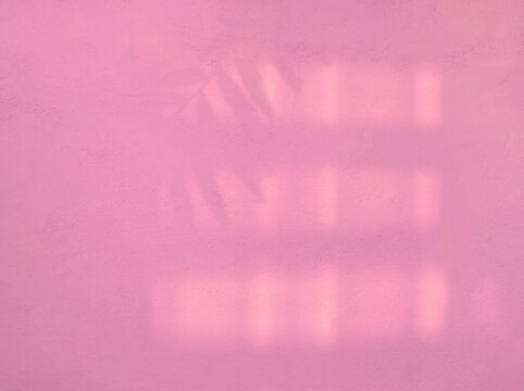 Pink cement wall background, abstract blank pink wall with leaves shadow pattern