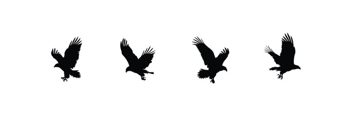 Fototapeta premium Four flying eagle birds silhouette in different dynamic wing positions on a pure white background eagles