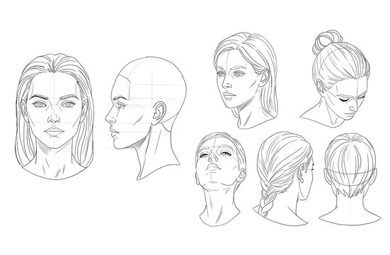 Female head angles and face proportions drawing reference set, female portrait perspective and facial anatomy guide for artists