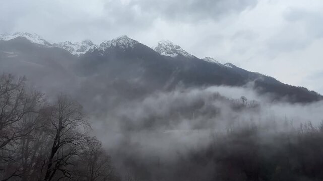 Foggy mountain landscape with snow-capped peaks. Trees are partially visible in the foreground. The scene conveys a sense of tranquility and nature's beauty.